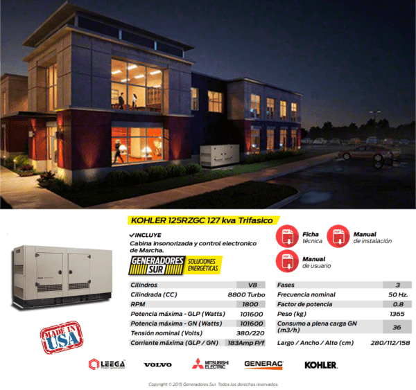 Grupo Electrógeno a Gas 125RZGC 127kva Trifásico con TTA Kohler - Imagen 10