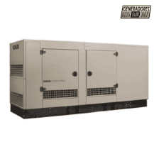 Grupo Electrógeno a Gas 150RZGC 166kva Trifásico con TTA Kohler