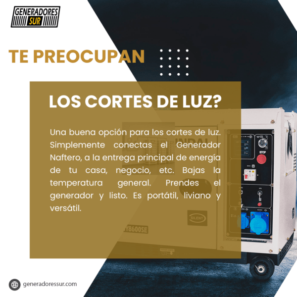 Grupo Electrógeno Hyundai HYH960A 800W Monofásico - Imagen 5
