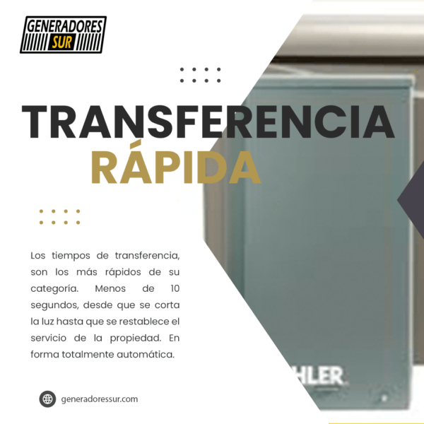 Grupo Electrógeno a Gas GA 13000 Pramac 13kva Monofásico con TTA - Imagen 5