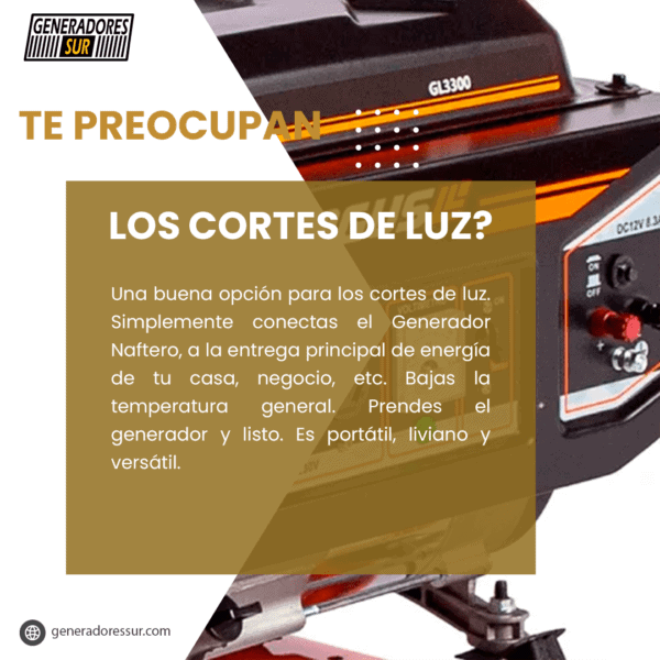 Grupo Electrógeno a Nafta GG8500E3 Logus 8,5Kva - Imagen 4