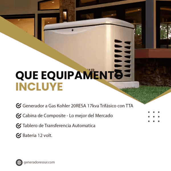 Grupo Electrógeno a Gas GA 20000 Pramac 17kva Trifásico con TTA - Imagen 4