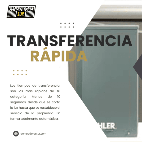 Grupo Electrógeno a Gas GA 20000 Pramac 17kva Trifásico con TTA - Imagen 5