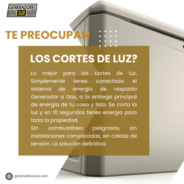 Grupo Electrógeno a Gas 26RCA 20kva Trifásico con TTA Kohler - Imagen 6